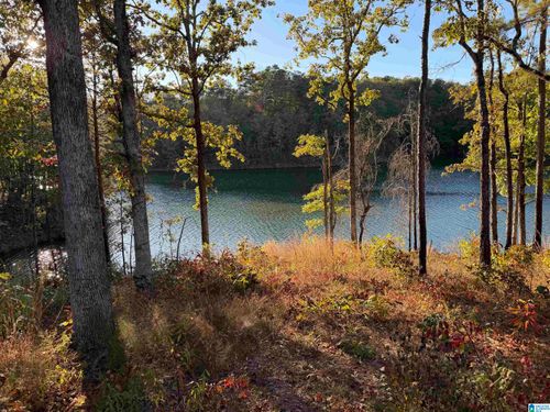 8-0 County Highway 162, Jemison, AL, 35085 | Card Image