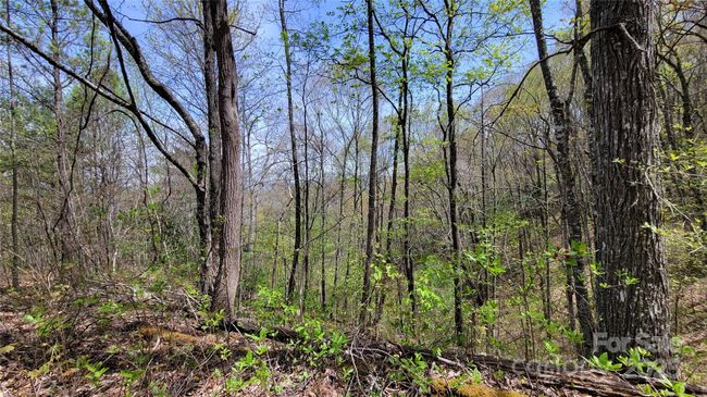 27 - 27 Lacy Fern Rdg, Home with 0 bedrooms, 0 bathrooms and null parking in Sylva NC | Image 6