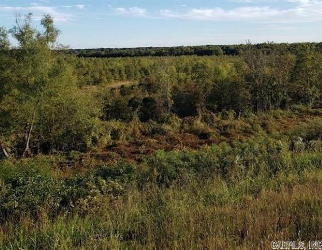 00 Ridgeview Rd, Home with 0 bedrooms, 0 bathrooms and null parking in Bradford AR | Image 8