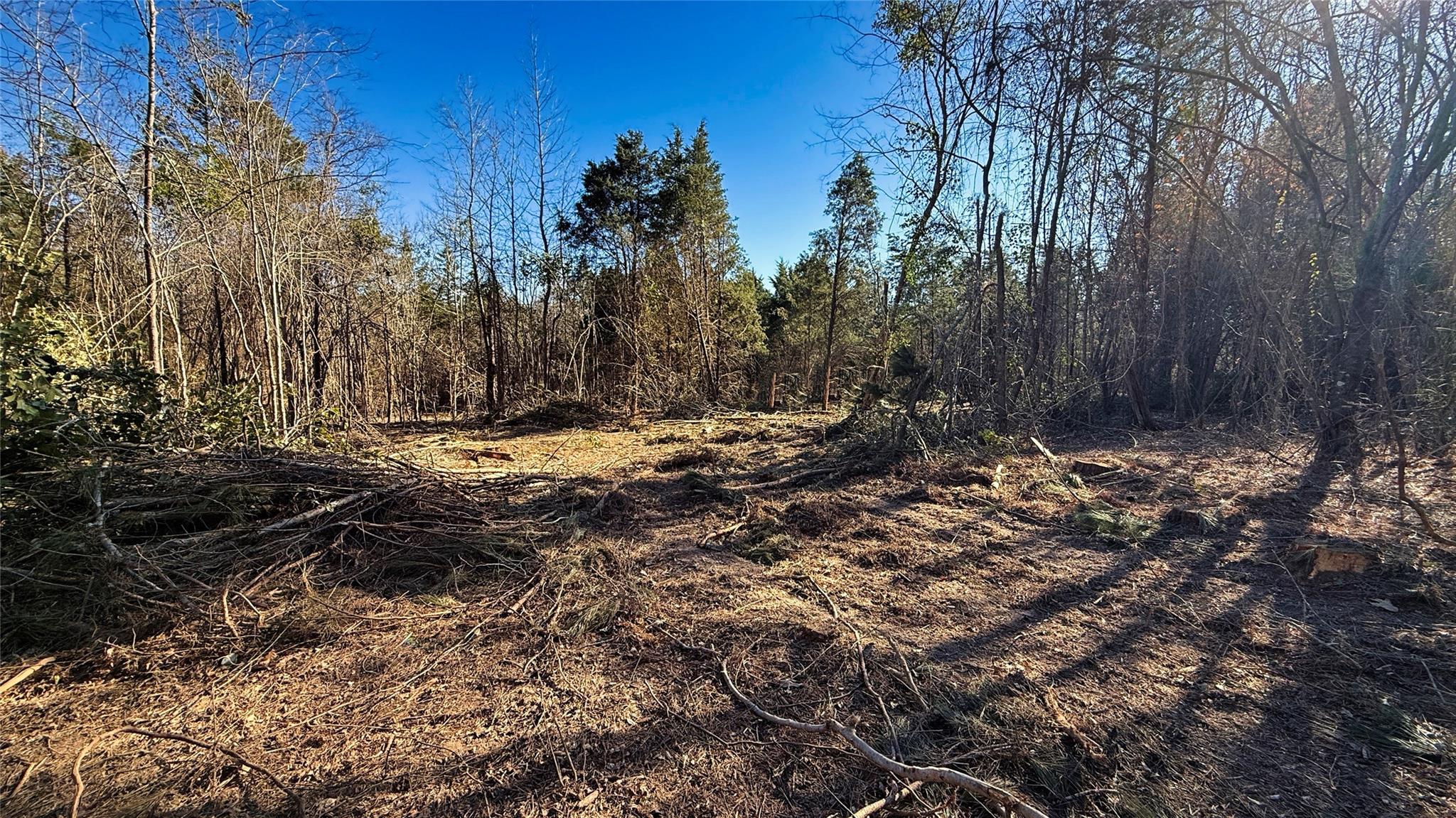 Land in Henderson 4