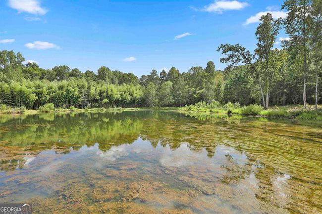 2950 W Ellis Rd, House other with 2 bedrooms, 1 bathrooms and null parking in Griffin GA | Image 25