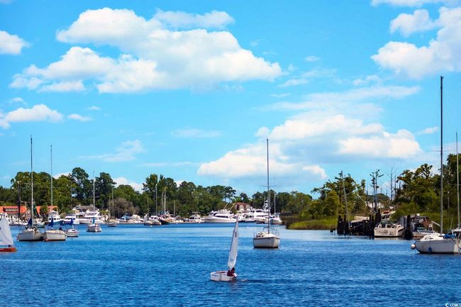 Water view with a tree filled landscape | Image 29