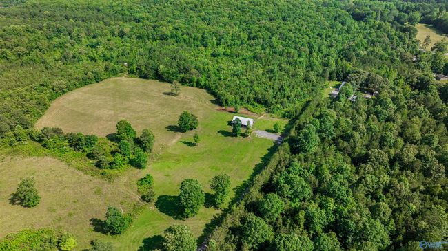 174 County Road 654, House other with 4 bedrooms, 2 bathrooms and null parking in Mentone AL | Image 40