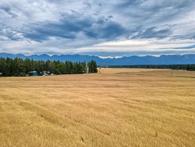 1770 Riverside Rd, Home with 0 bedrooms, 0 bathrooms and null parking in Bigfork MT | Image 5