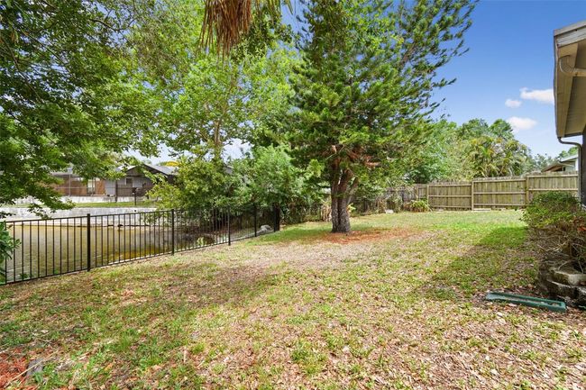 Backyard | Image 23