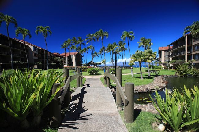 C107 - 3543 Lower Honoapiilani Rd, Condo with 0 bedrooms, 1 bathrooms and null parking in Lahaina HI | Image 38