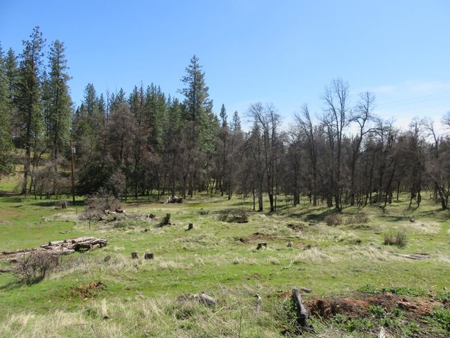 4196 Bald Mountain Rd, Home with 0 bedrooms, 0 bathrooms and null parking in West Point CA | Image 10