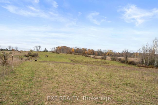 1742 Cameron St W, House other with 3 bedrooms, 2 bathrooms and 8 parking in Cannington ON | Image 46