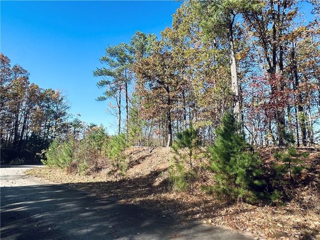 0 Planters Pointe Ter, Home with 0 bedrooms, 0 bathrooms and null parking in Baldwin GA | Image 4