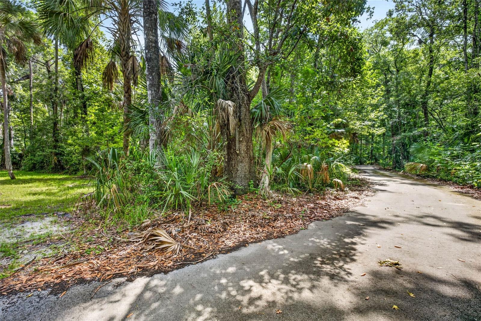 Land in HOMOSASSA 5