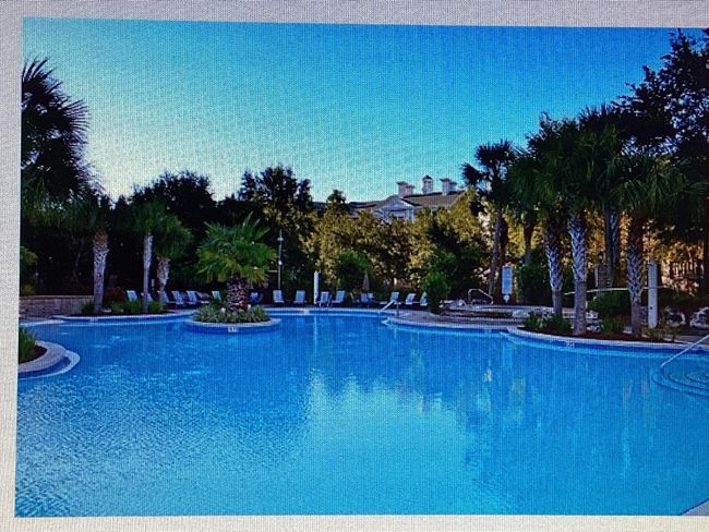Pool | Image 4