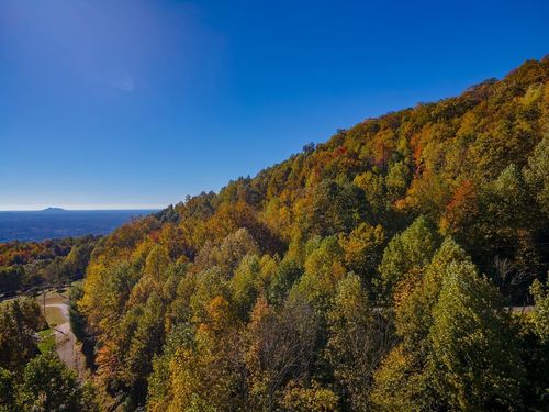 Lot 5 Starry Nights Dr, Fancy Gap, VA, 24328-4385 | Card Image