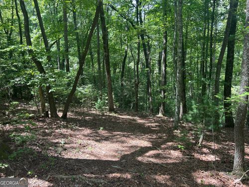 tr-6-22.5 AC Blue Ridge St, Blue Ridge, GA, 30513 | Card Image