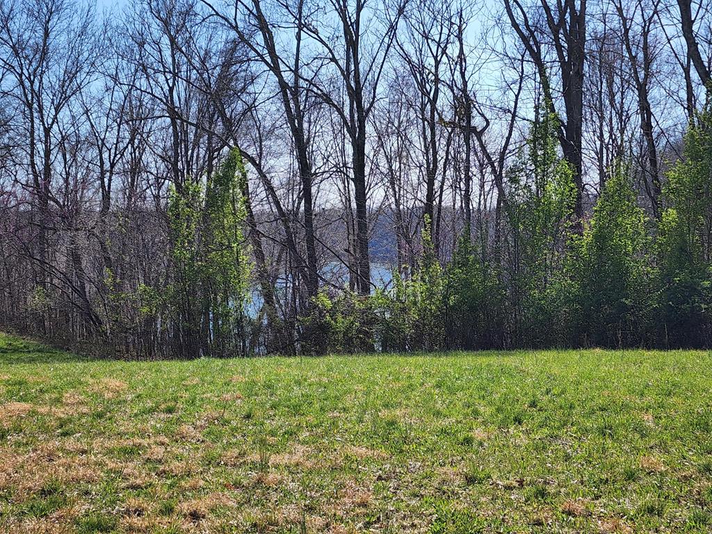 Land in Albany 3