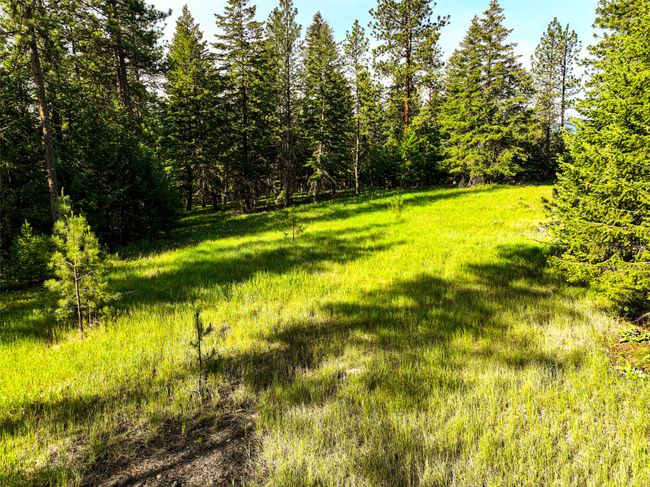 17353 Nighthawk Ln, House other with 3 bedrooms, 3 bathrooms and null parking in Frenchtown MT | Image 37