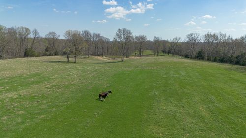 1904 Millers Chapel Rd, Charlotte, TN, 37036-5034 | Card Image