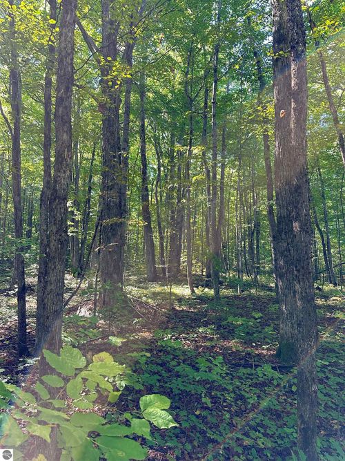 000 Woodland Dr Ne, Kalkaska, MI, 49646 | Card Image