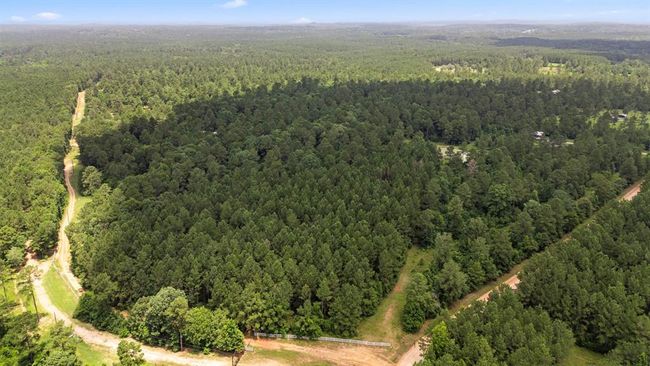 00 Felix Currie Rd, Home with 0 bedrooms, 0 bathrooms and null parking in Oakhurst TX | Image 8