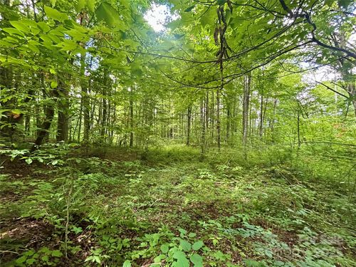 Tract 2 Nips Way Way, Cullowhee, NC, 28723 | Card Image