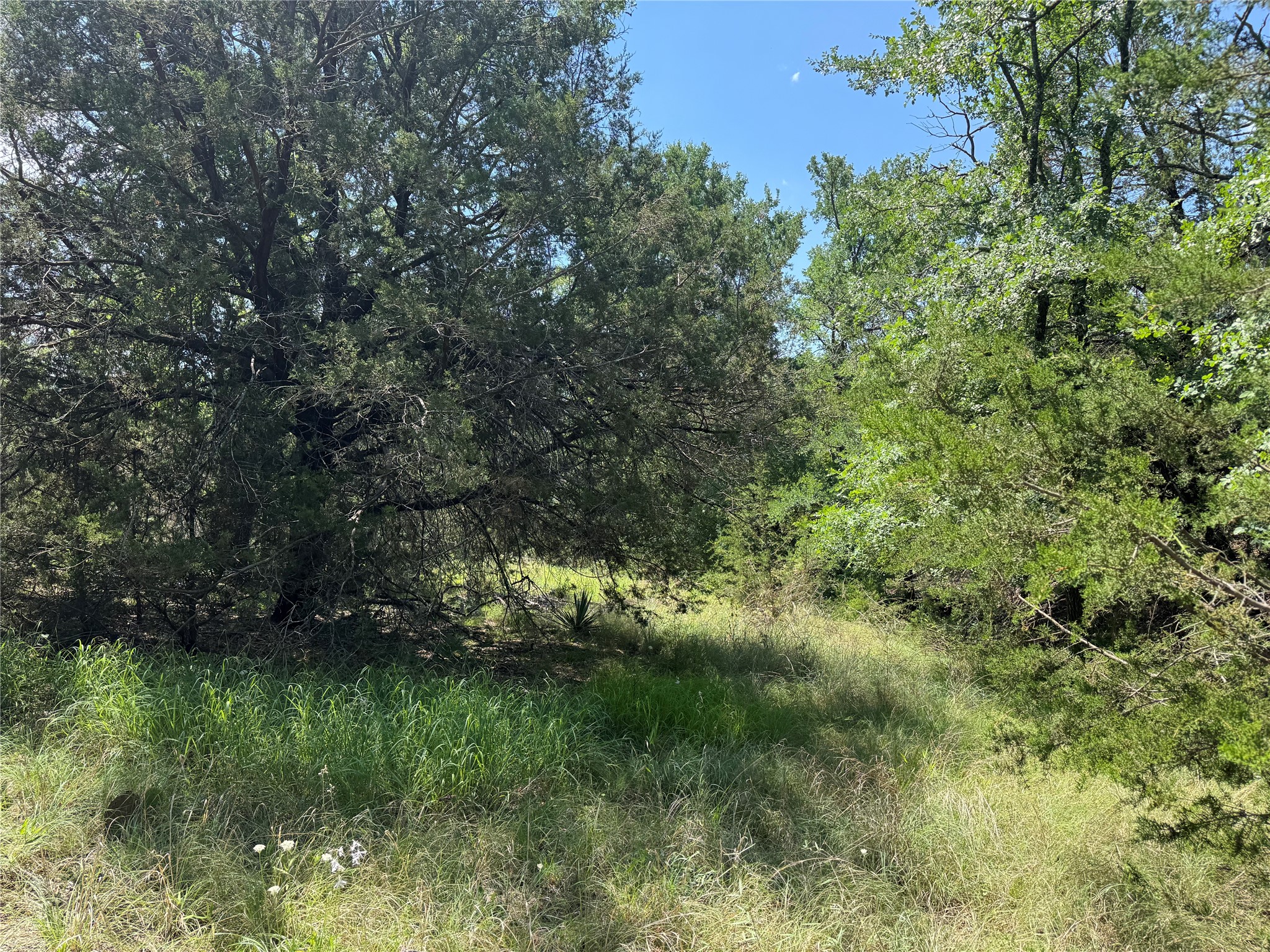 Land in Weatherford 2