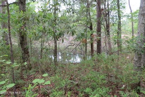 117 Shoreline Ct, Oriental, NC, 28571-9002 | Card Image