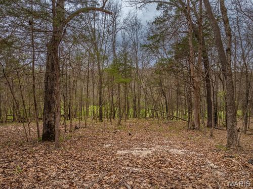 2903 Valley View Dr, Innsbrook, MO, 63390 | Card Image