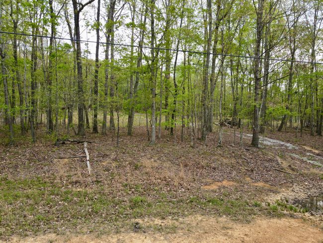 0 Deerwood Dr, Home with 0 bedrooms, 0 bathrooms and null parking in Sewanee TN | Image 50