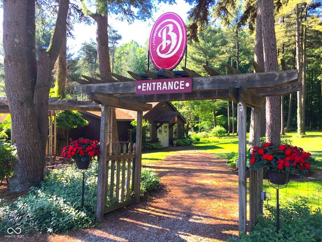 Entrance Arbor to Cafe and Venue | Image 29