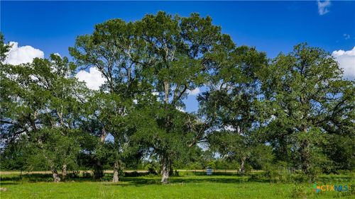TBD Fm 2104, Smithville, TX, 78957 | Card Image