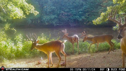 12552 E 550 Rd, El Dorado Springs, MO, 64744-7205 | Card Image