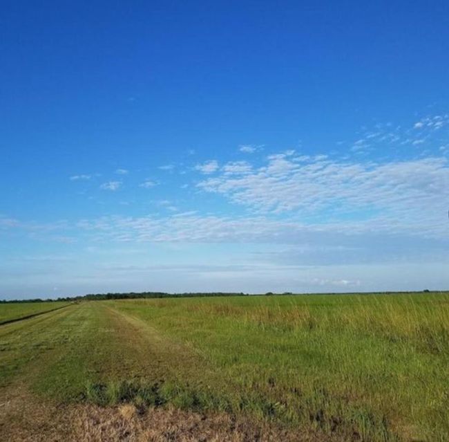 001 Fm 365, Home with 0 bedrooms, 0 bathrooms and null parking in Nome TX | Image 9
