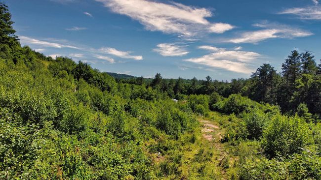 243 Currier Rd, Home with 0 bedrooms, 0 bathrooms and null parking in Andover NH | Image 10