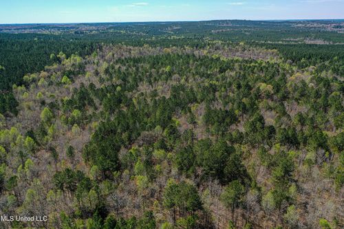  Plattsburg-Mt Calvary Road, Noxapater, MS, 39346 | Card Image