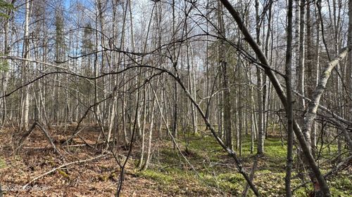 48601 S Bendapole Road, Willow, AK, 99688 | Card Image