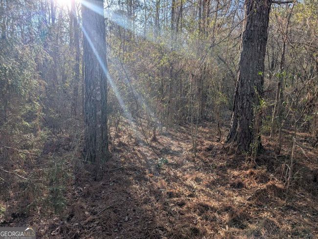 0 Ridgeway Rd, Home with 0 bedrooms, 0 bathrooms and null parking in Trion GA | Image 31