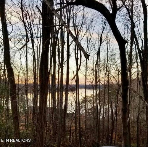 196 E Cove Dr, Greenback, TN, 37742-2306 | Card Image