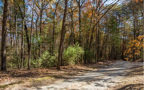2 TR Holt Brigham Dr, Ellijay, GA, 30540-2364 | Card Image