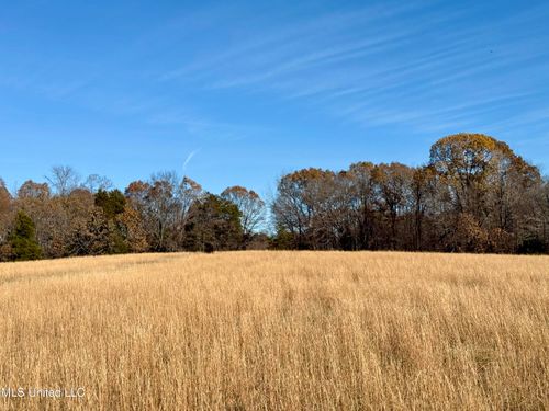  Kelly Ln, Red Banks, MS, 38661 | Card Image