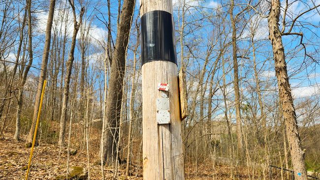 TRACT-2-PIKE-LAKE-GETAWA - 0 Pike Lake Rd, Home with 0 bedrooms, 0 bathrooms and null parking in Bainbridge OH | Image 5