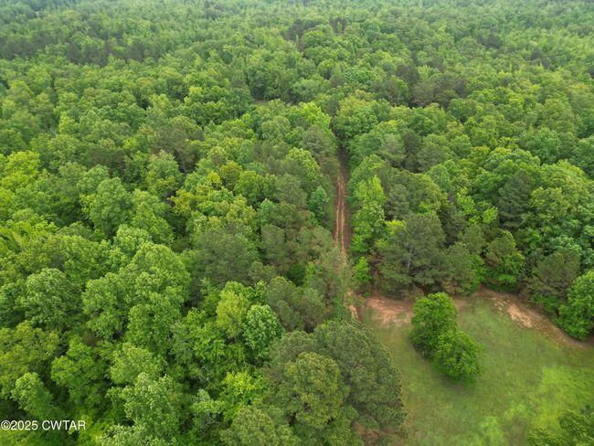 0 Buggy Branch Ln, Home with 0 bedrooms, 0 bathrooms and null parking in Cedar Grove TN | Image 14