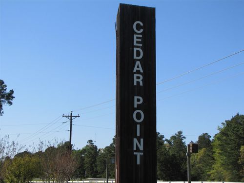 TBD Mesquite, Livingston, TX, 77351 | Card Image