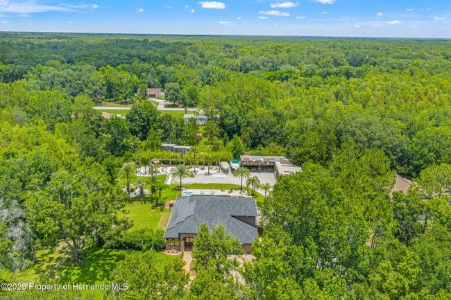 26221 Pheasant Run, House other with 4 bedrooms, 3 bathrooms and null parking in Wesley Chapel FL | Image 84