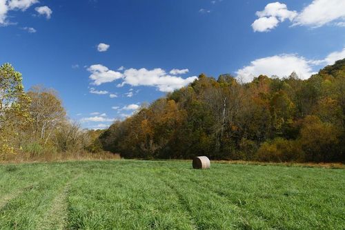 Tbd Fairview Rd, Blackwater, VA, 24221 | Card Image