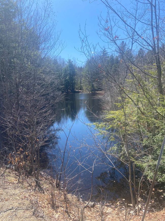 0 Teela Drive, Home with 0 bedrooms, 0 bathrooms and null parking in Sullivan NH | Image 7