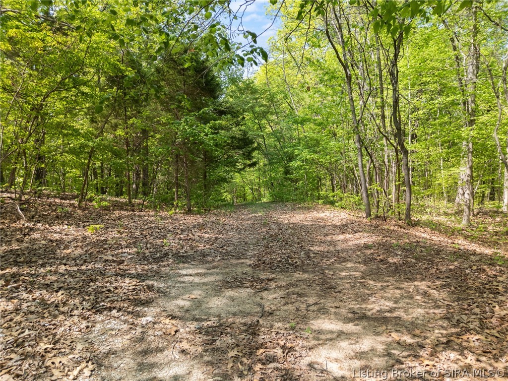Land in French Lick 3