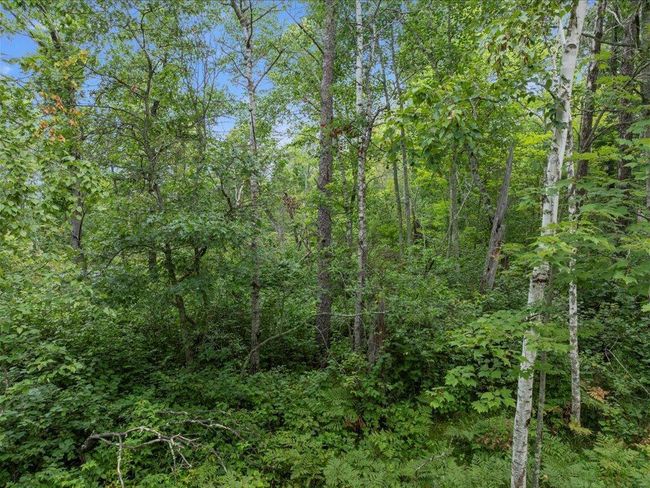 11 Catskill Drive, Home with 0 bedrooms, 0 bathrooms and null parking in Breezy Point MN | Image 5