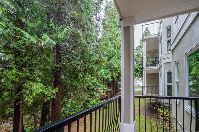109 - 10320 156 Street, Condo with 1 bedrooms, 1 bathrooms and 1 parking in Surrey BC | Image 23