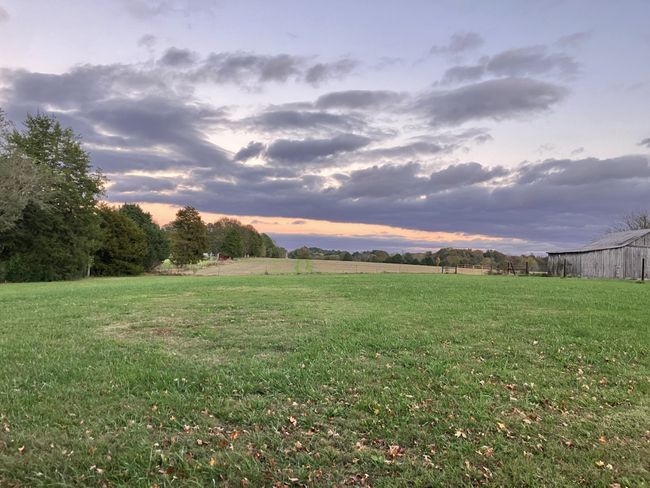 118 Beartown Rd, House other with 3 bedrooms, 2 bathrooms and 4 parking in Loretto TN | Image 54