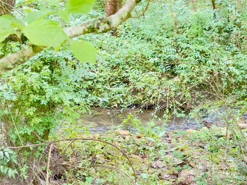 0 Bethlehem Rd, Old Fort, NC, 28762 | Card Image