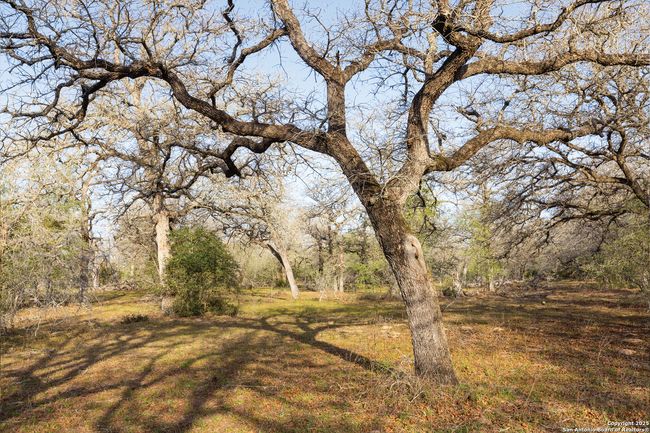 343 Batey Rd, Home with 3 bedrooms, 2 bathrooms and null parking in Nixon TX | Image 33
